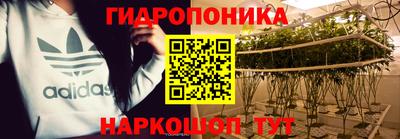 дурь Тара