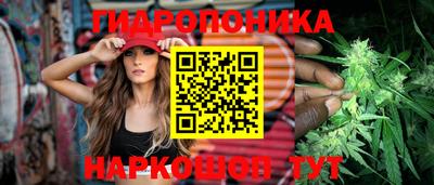 дурь Тара