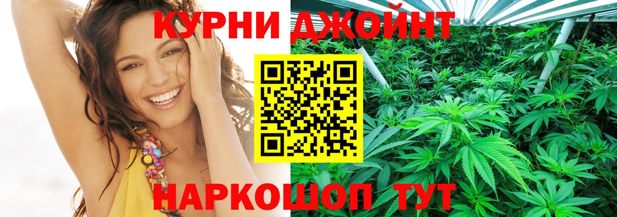 Бошки Шишки сатива  МАРИХУАНА семена  Вход с VPN  Артём  Марихуана Bruce Banner 